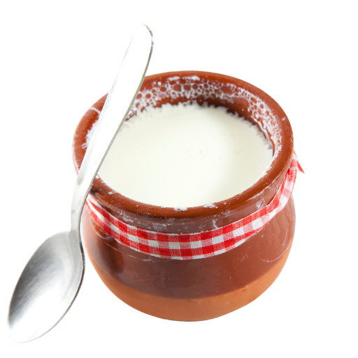 Plain Curd