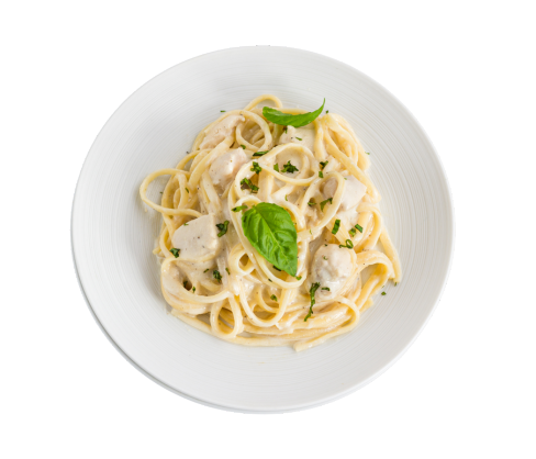 Plain Sauce Pasta
