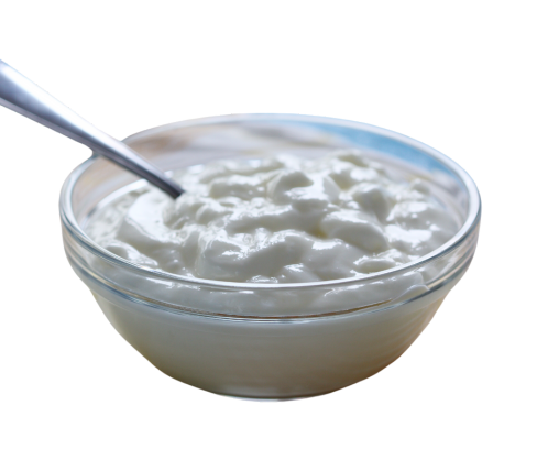 Plain Curd